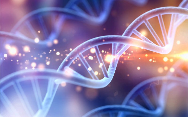 dna strand